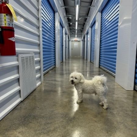 facility
