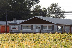 Budget Store and Lock Stormor