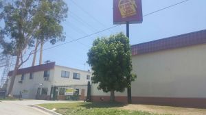 Store for Less - Carson