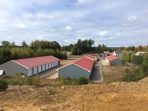 Safe Harbor Self-Storage