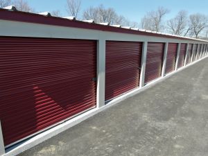 Sherlock Storage- Holly