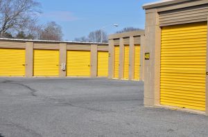 Storage Sense - Salisbury