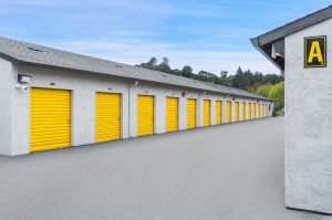 BuxBear Storage Aptos